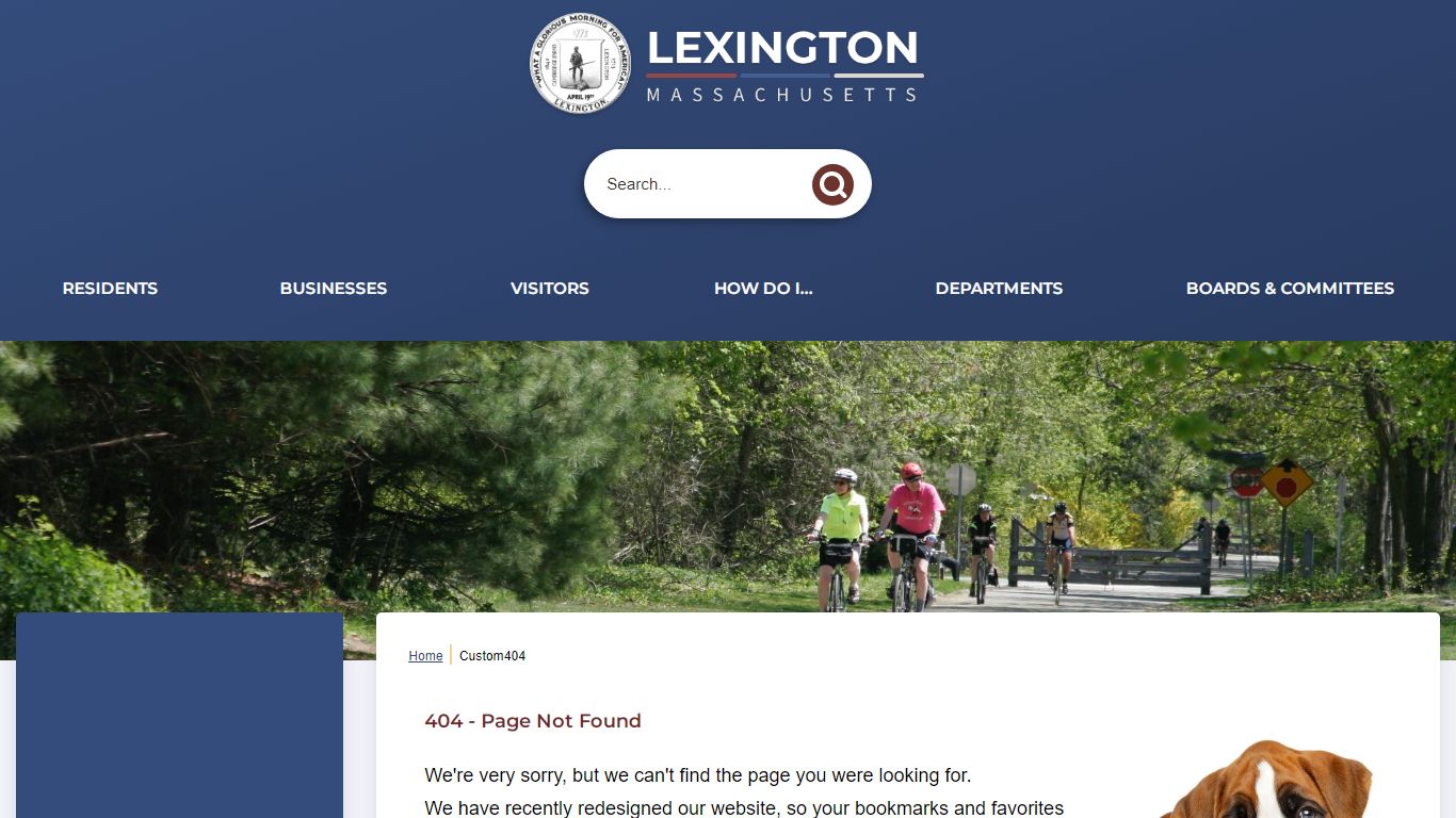 Available Public Records | lexingtonma